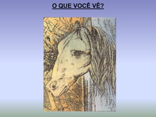 O QUE VOCÊ VÊ?
 