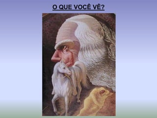 O QUE VOCÊ VÊ?
 