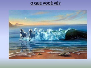 O QUE VOCÊ VÊ?
 