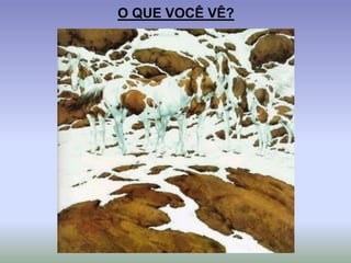 O QUE VOCÊ VÊ?
 