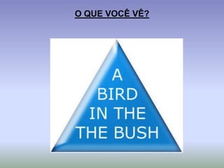 O QUE VOCÊ VÊ?
 