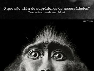 O que são além de supridores de necessidades?
Transmissores de sentidos?
Tim Flach

 