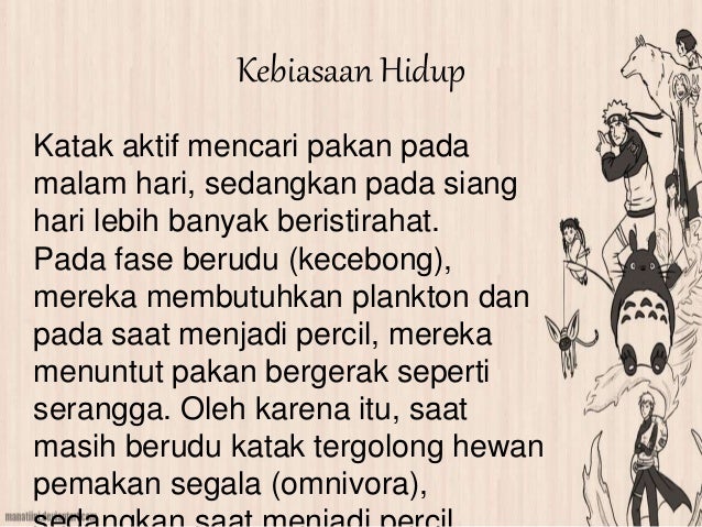 Ukuran Kaki Siang Dan Malam - Perodua i