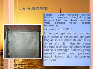 Observasi lab.ekologi | PPTX
