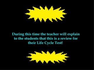 During this time the teacher will explain to the students that this is a review for their Life Cycle Test!  