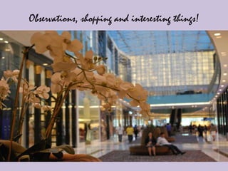 Observations, shopping and interesting things!
 