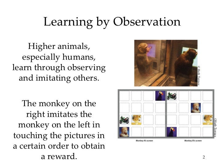 observational learning