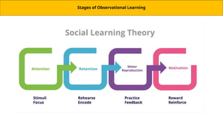 Stages of Observational Learning
 