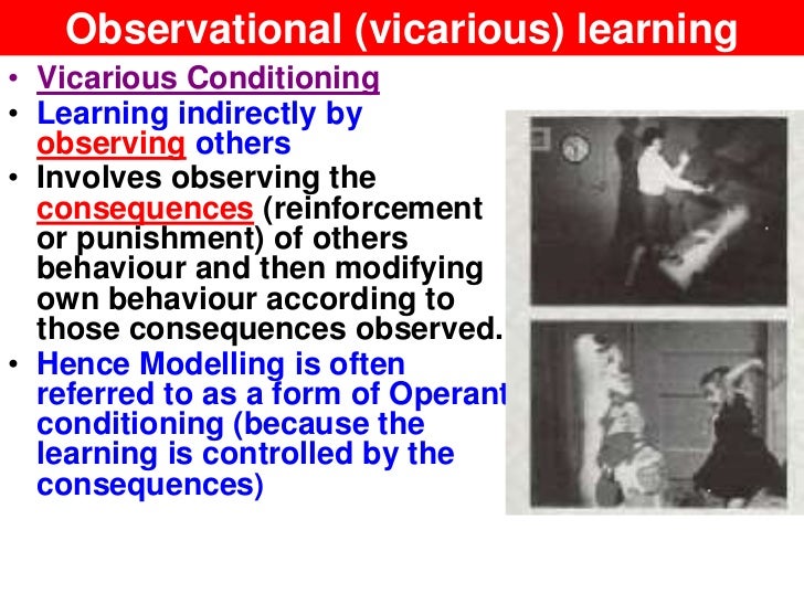 observational learning