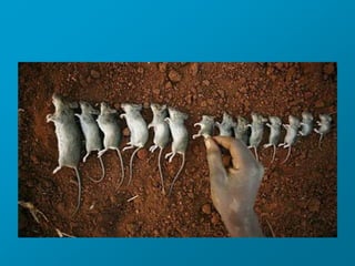 Observation and inference