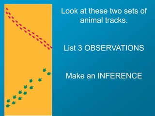 Observation and inference