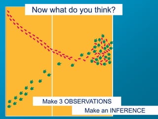 Observation and inference