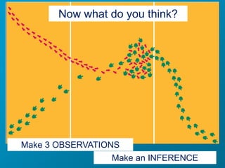 Observation and inference