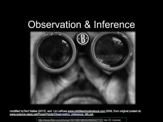 Observation & Inference
 