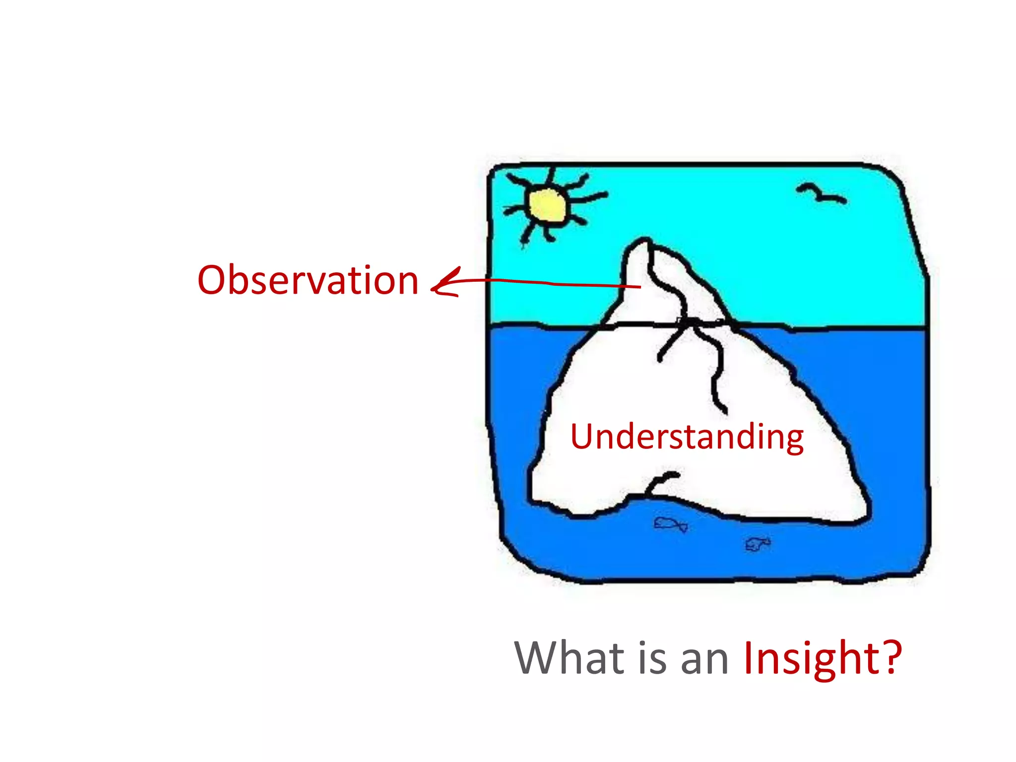 Observation


                Understanding




              What is an Insight?
 