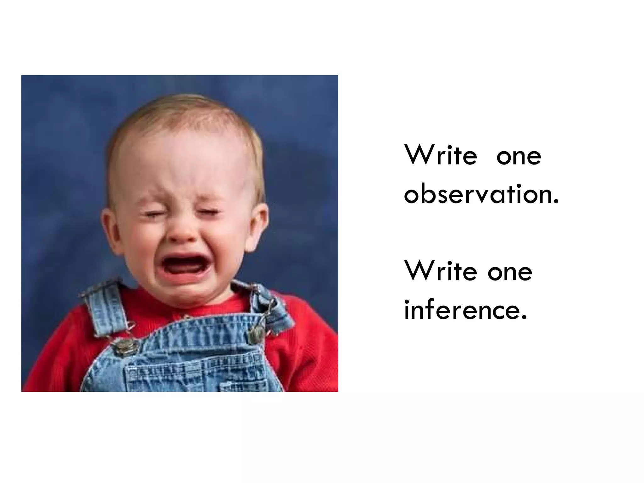Write  one observation.  Write one inference. 