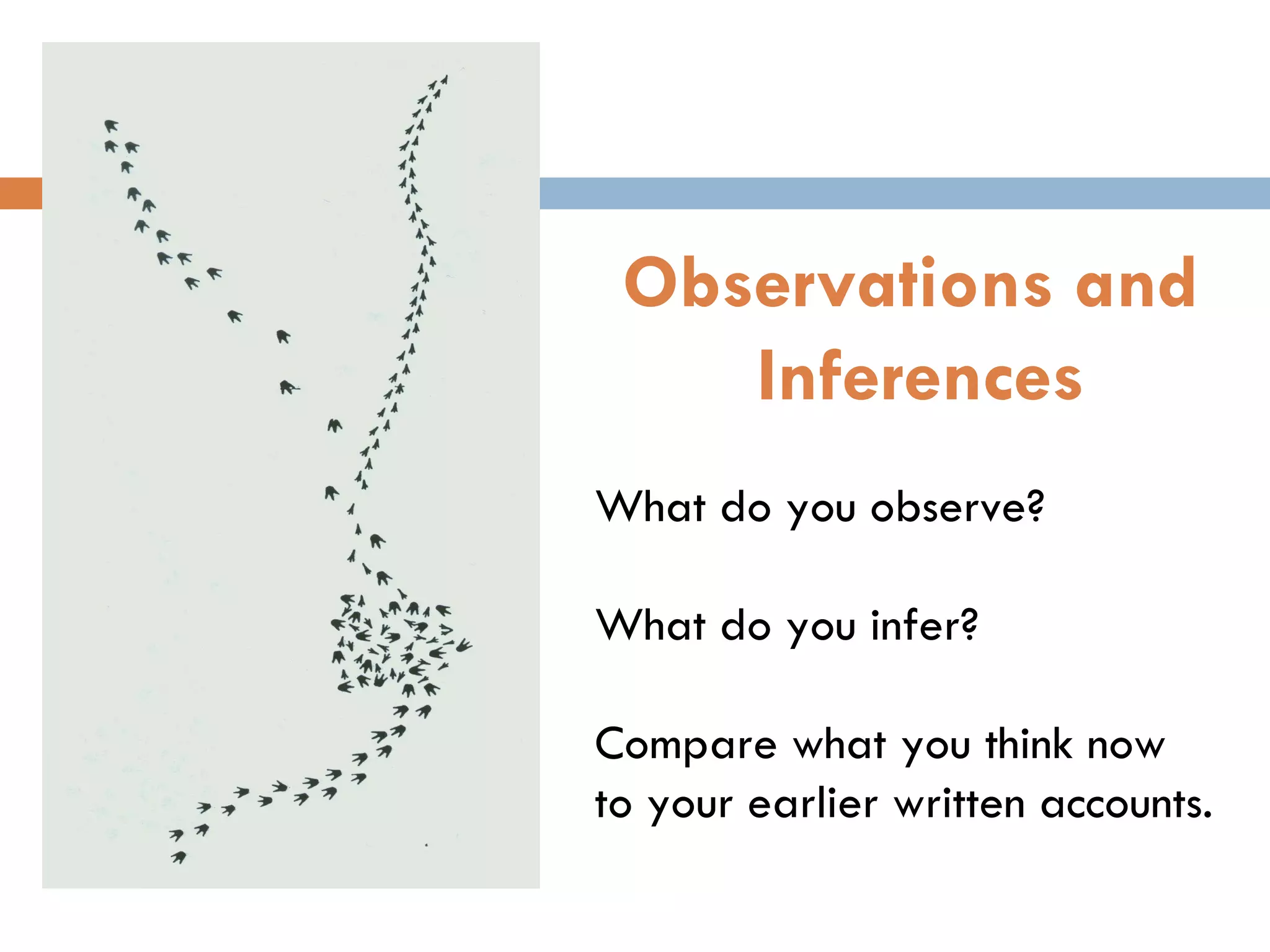What do you observe? What do you infer? Compare what you think now  to your earlier written accounts.  Observations and  Inferences 