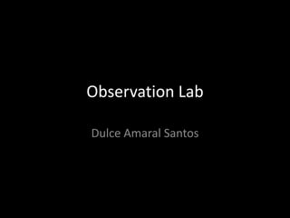 Observation Lab

Dulce Amaral Santos
 