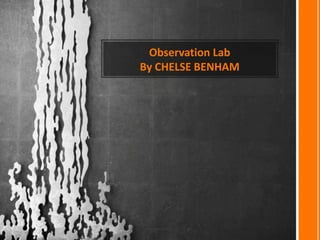 Observation Lab
By CHELSE BENHAM
 