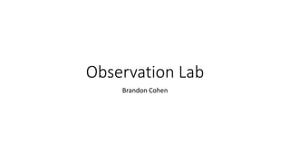 Observation Lab
Brandon Cohen
 