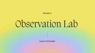 Lauren Schneider
Observation Lab
Module 5
 