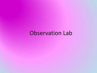 Observation Lab
 