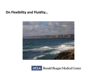 On Flexibility and Fluidity…

 