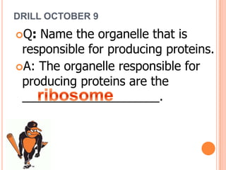 DRILL OCTOBER 9
Q: Name the organelle that is
responsible for producing proteins.
A: The organelle responsible for
producing proteins are the
____________________.
 