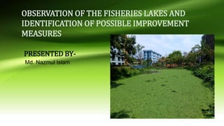 PRESENTED BY-
OBSERVATION OF THE FISHERIES LAKES AND
IDENTIFICATION OF POSSIBLE IMPROVEMENT
MEASURES
Md. Nazmul Islam
 