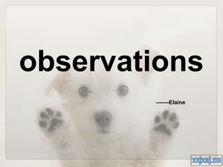 observations
        -------Elaine
 