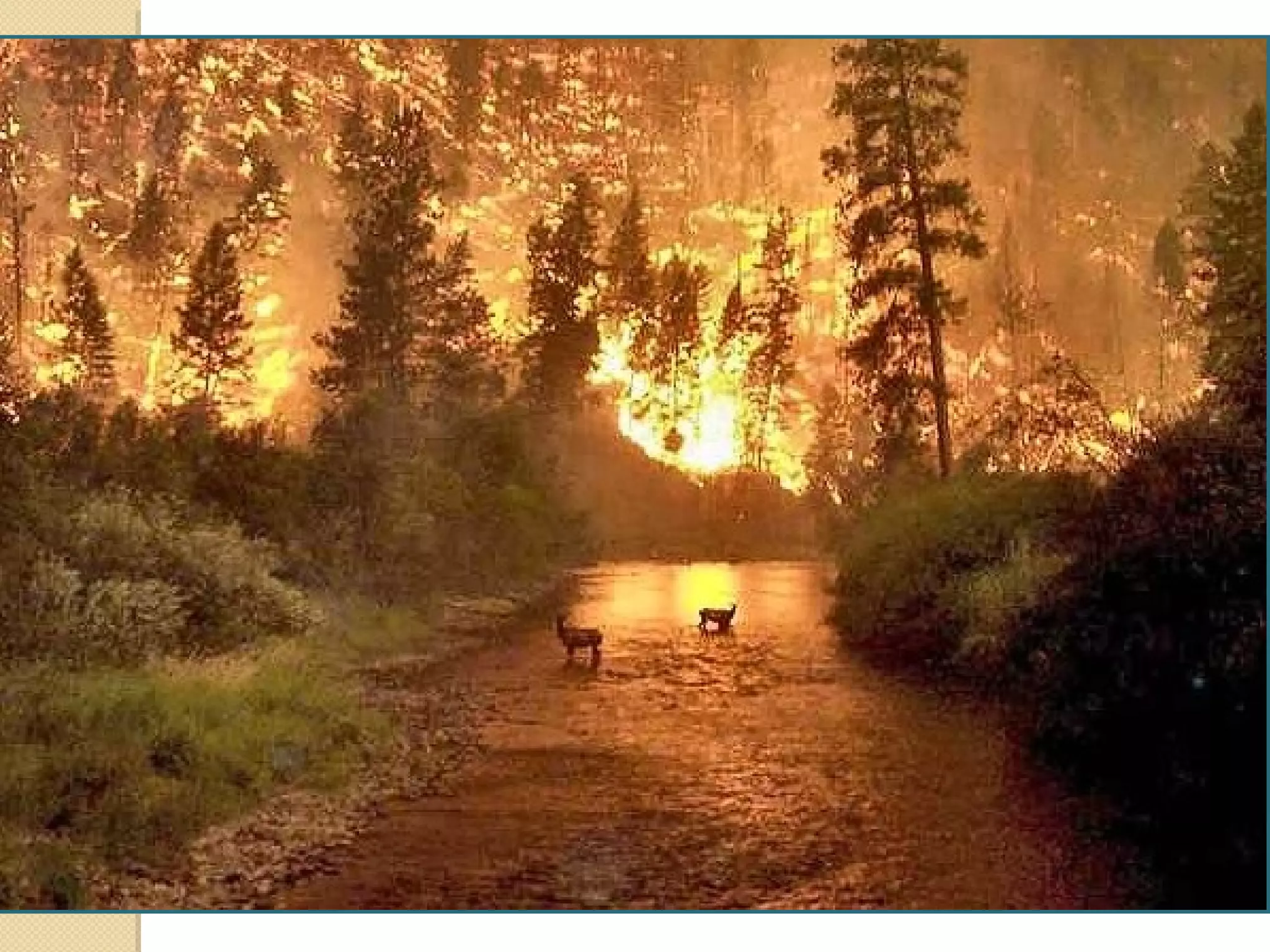 optival illusion.png
 