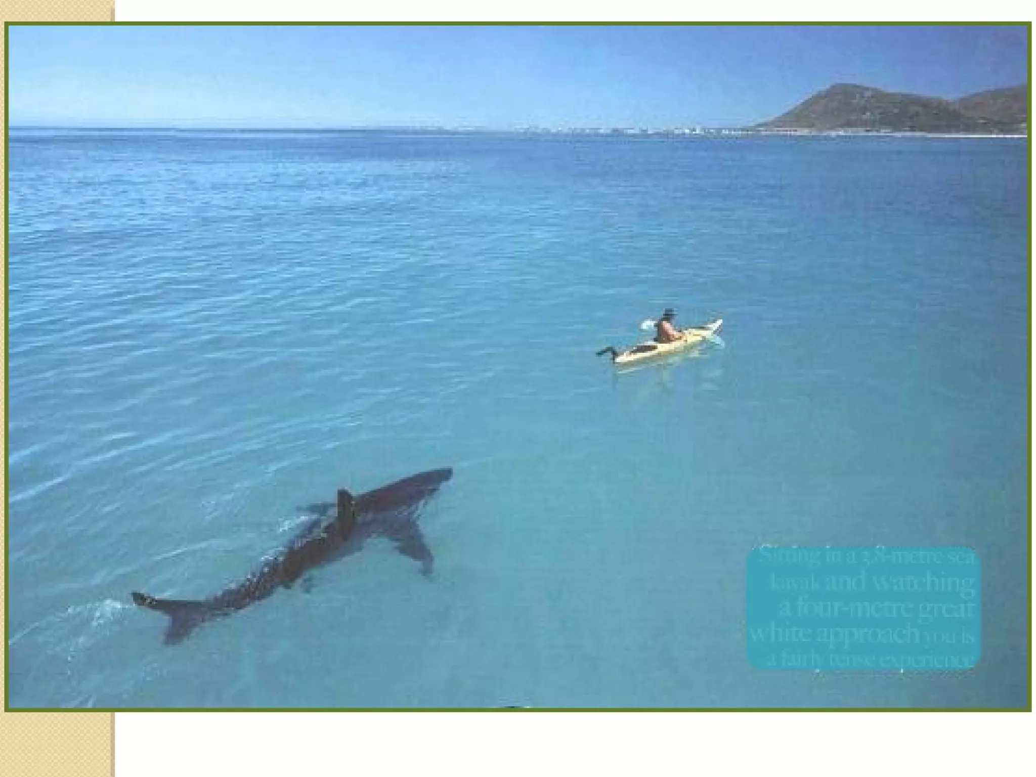 Observations vs-inferencespart one