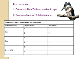 ObservationObservation
andand
InferenceInference
ActivityActivity
 