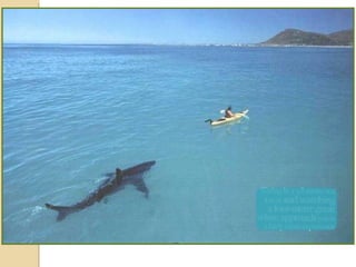 Observations vs-inferencespart one