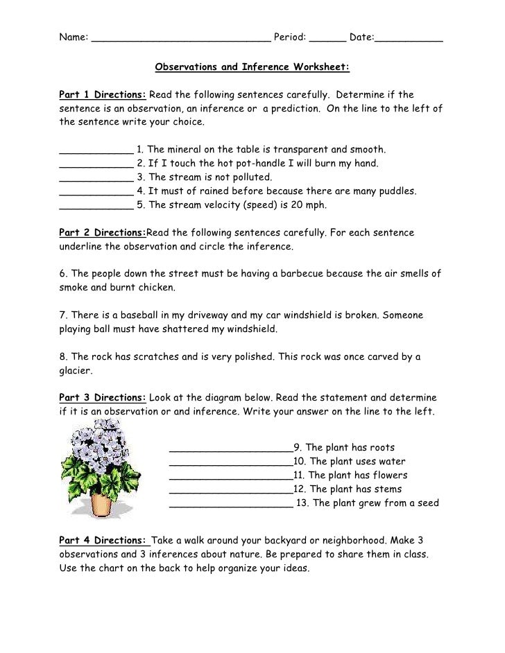 Observations And Inference Worksheet Observations And Inference Worksheet