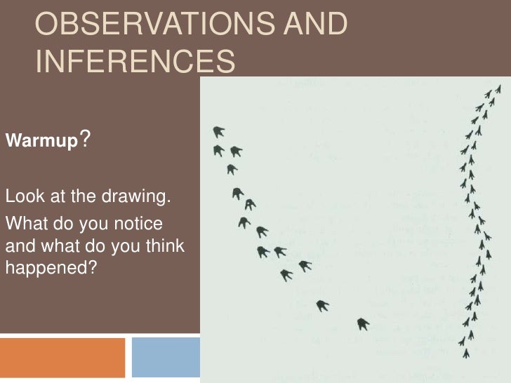 Observation Vs Inference Worksheet