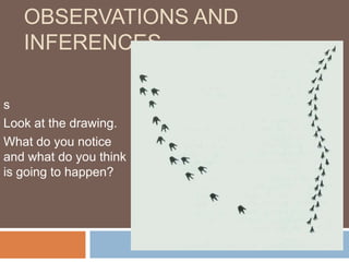 Observations and Inferences s Look at the drawing.  What do you notice and what do you think is going to happen? 