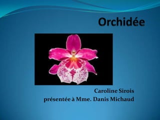 Caroline Sirois
présentée à Mme. Danis Michaud
 