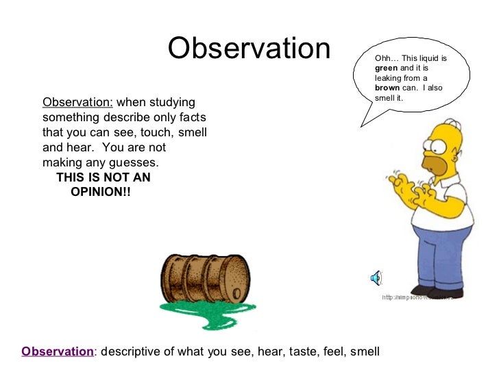 Observation Vs Inference Worksheet