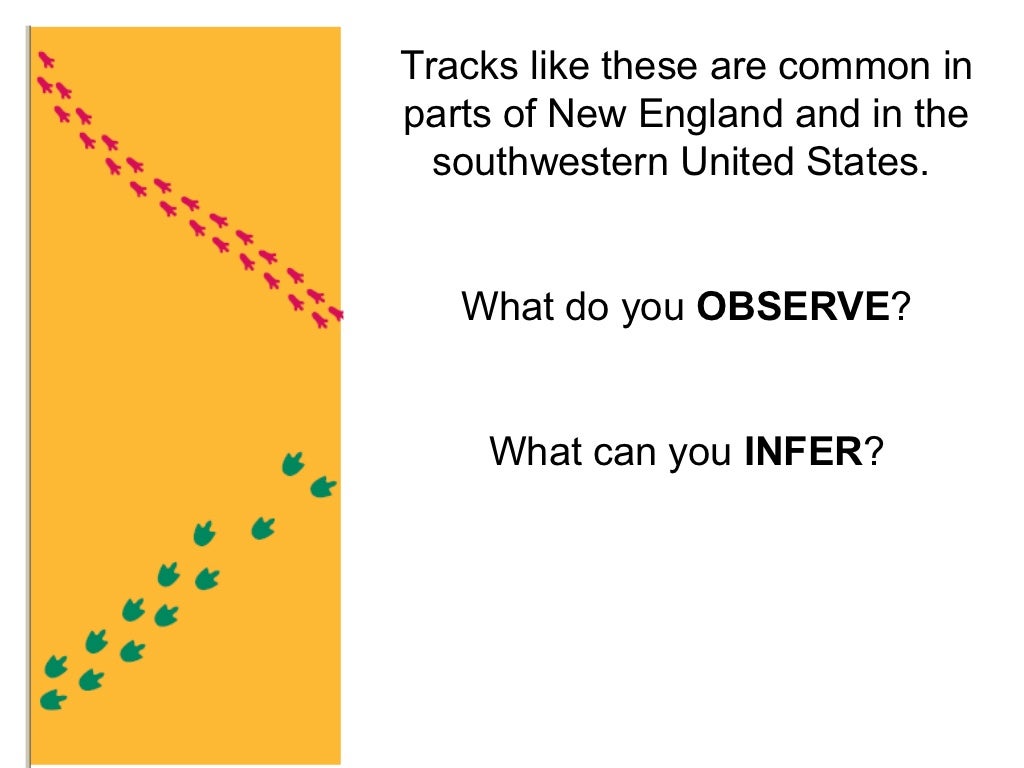 observation-vs-inference