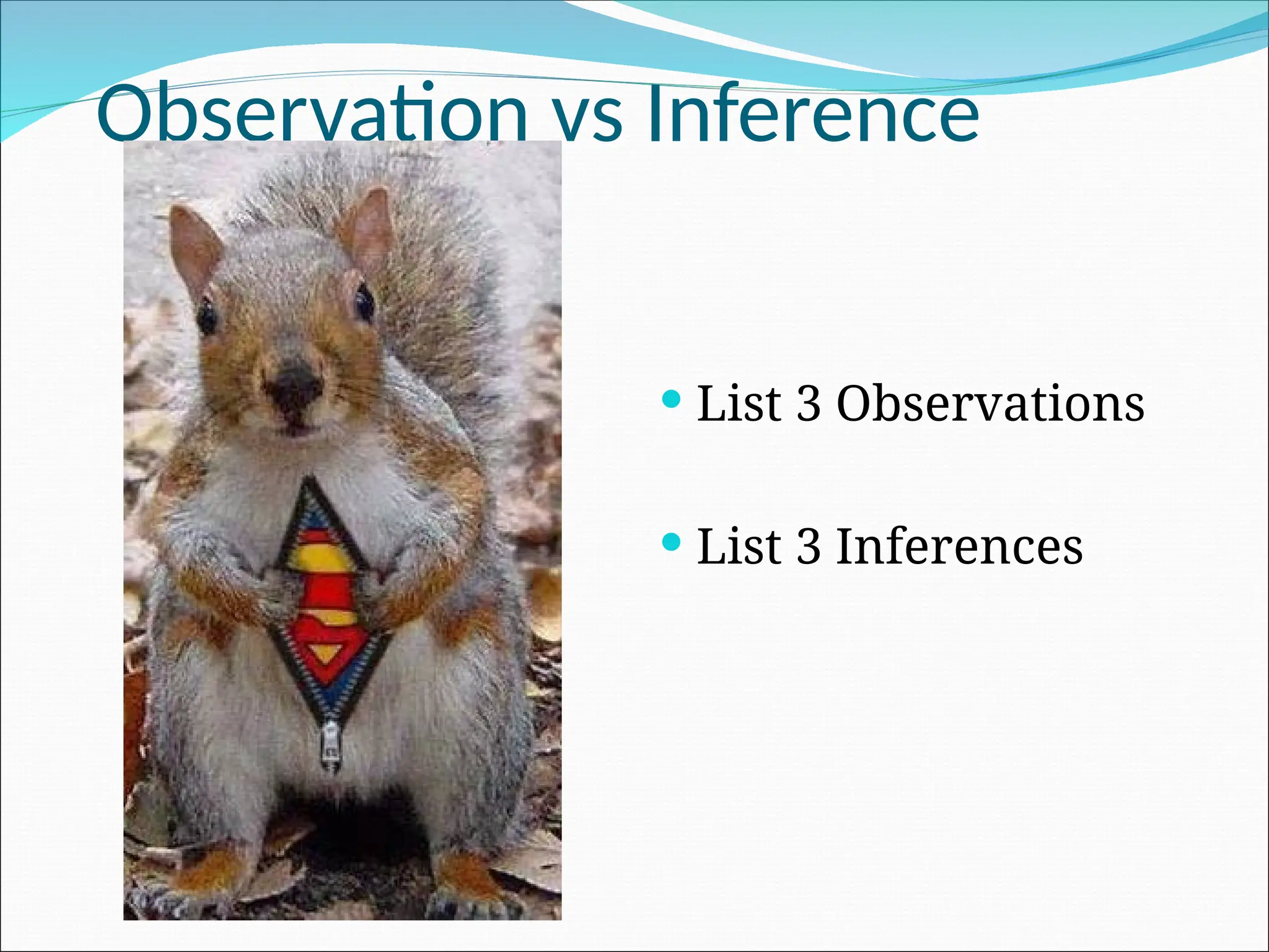 Observation vs Inference
 List 3 Observations
 List 3 Inferences
 
