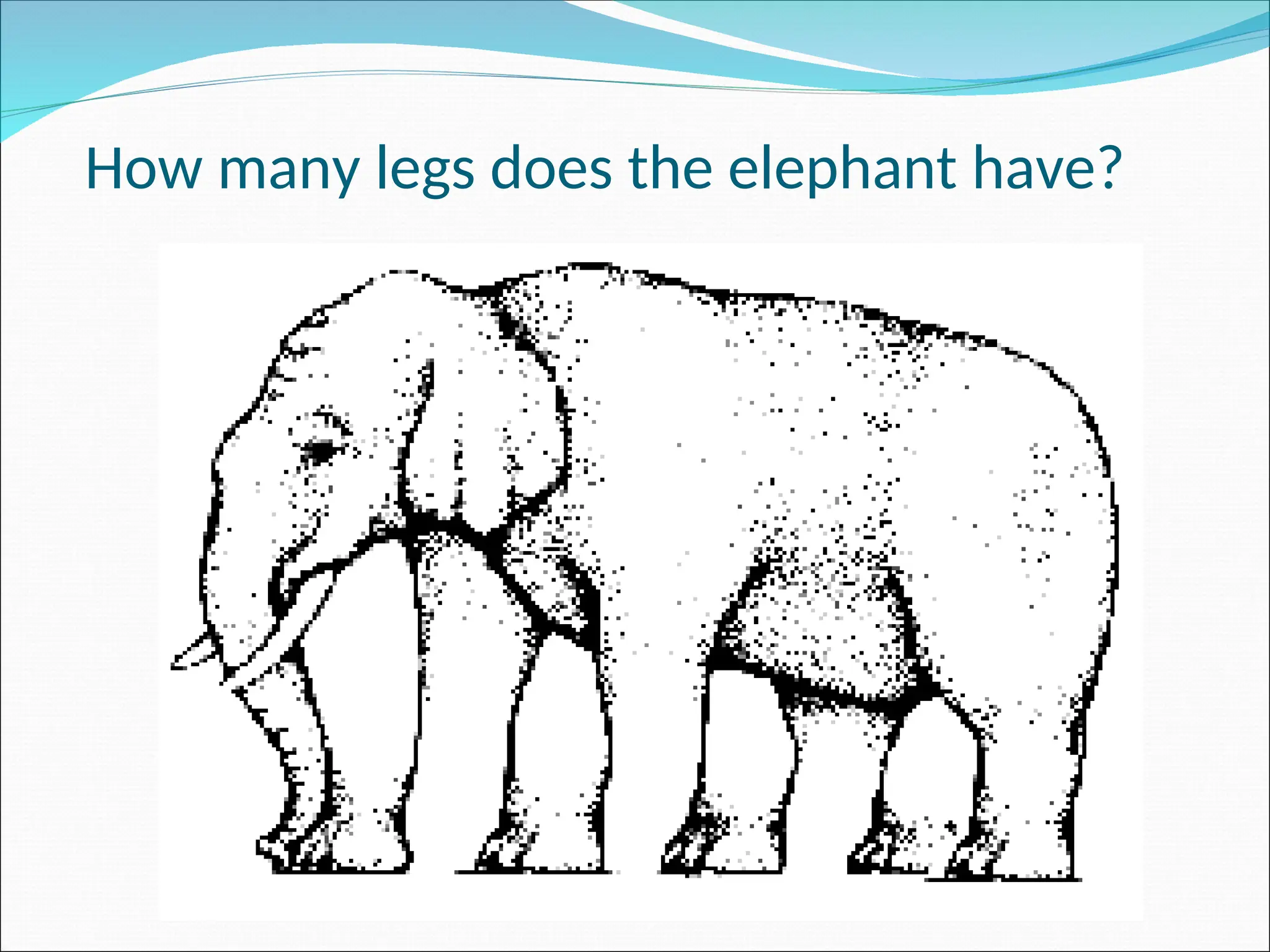 How many legs does the elephant have?
 