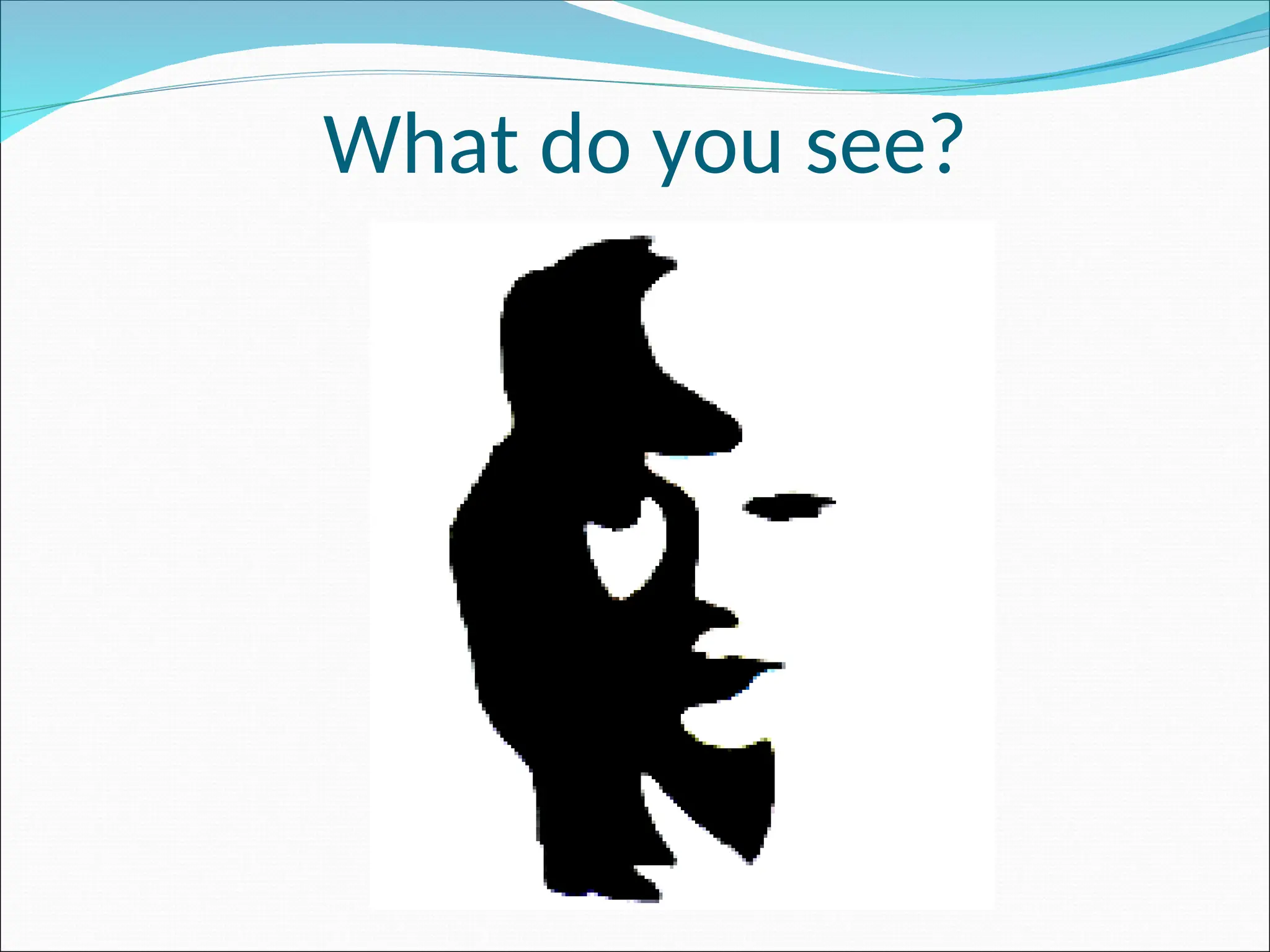 What do you see?
 