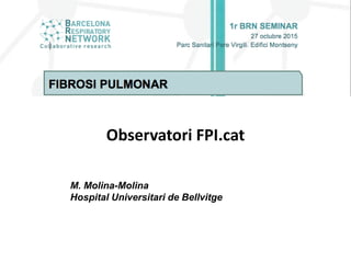Observatori FPI.cat
M. Molina-Molina
Hospital Universitari de Bellvitge
 