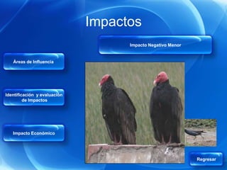 Impactos
                                    Impacto Negativo Menor


   Áreas de Influencia




Identificación y evaluación
         de Impactos




   Impacto Económico




                                                             Regresar
 
