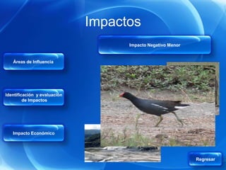 Impactos
                                    Impacto Negativo Menor


   Áreas de Influencia




Identificación y evaluación
         de Impactos




   Impacto Económico




                                                             Regresar
 