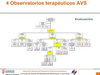 4 Observatorios terapéuticos AVS 