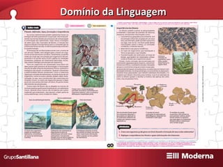 Domínio da Linguagem