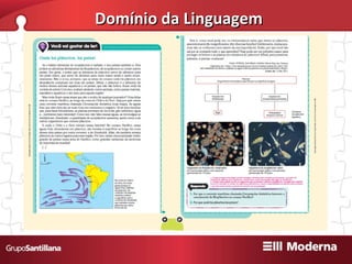 Domínio da Linguagem