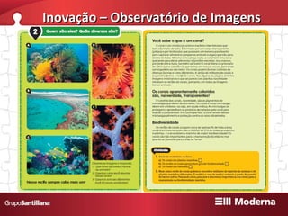 Inovação – Observatório de Imagens